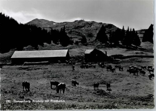 8890 Flums - Prodalp , Kuhweide