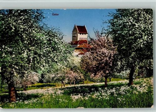 8610 Uster 1924 - Blühende Bäume