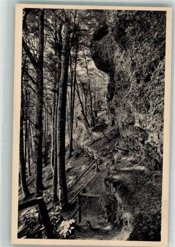8143 Uetliberg Foto AK Nagelfluhfelsen beim Uto-Kulm