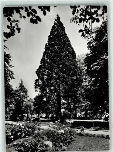 8265 Mammern - Kuranstalt Untersee Park