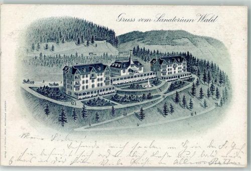 8636 Wald ZH 1899 Lithographie Sanatorium