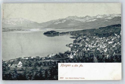 8810 Horgen Arn - Panorama