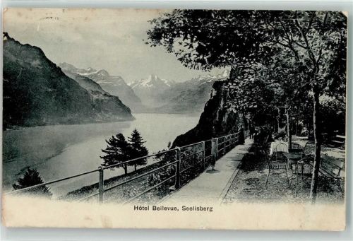 6377 Seelisberg - Hotel Bellevue
