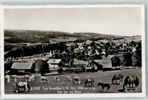 2720 Les Reussilles - Vue sur les Bises Kühe Pferde