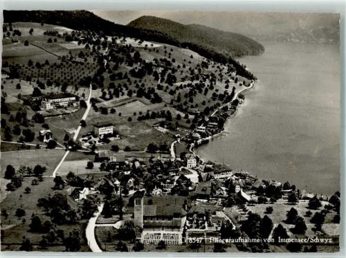 6405 Immensee - Fliegeraufnahme