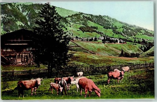 3715 Adelboden BE - Weidende Kühe