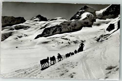 3801 Jungfraujoch - Winter Hundeschlitten Rottalhorn Polarhunde