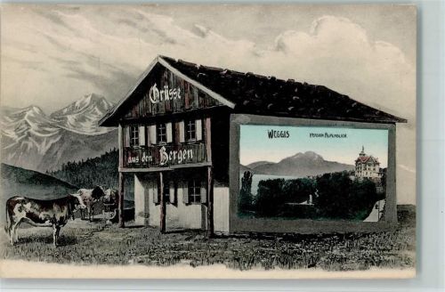 6353 Weggis - Alm mit Kühe, Pension Alpenblick