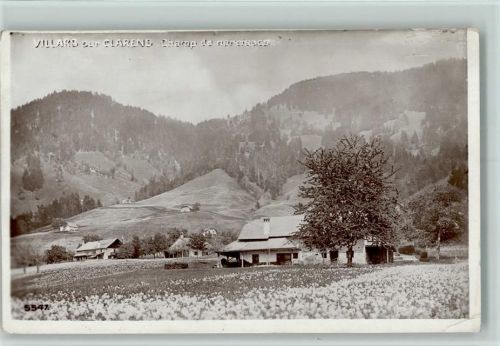 1815 Clarens 1925 Gebrauchsspuren Verlag Burgy 5547 - Villars, champ de nareissegs