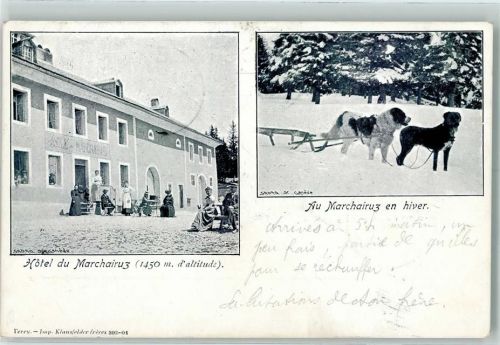 Le Marchairuz 1901 - Hotel du Marchairuz Hunde ziehen Schlitten
