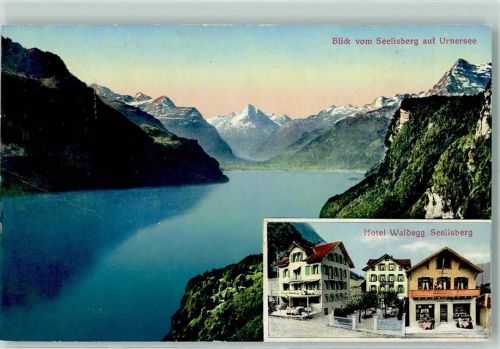 6377 Seelisberg Gebrauchsspuren Blick vom Seelisberg auf Urnersee