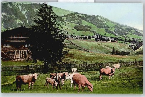 3715 Hirzboden Adelboden - Kuh AKU2