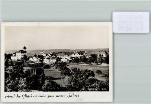 8627 Grüningen FOTO KEINE AK Foto 10cm x 7cm Neujahrswunsch