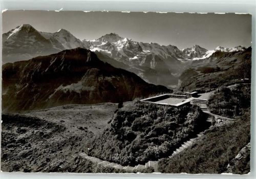 Schynige Platte Foto AK Alpengarten Foto Gyger