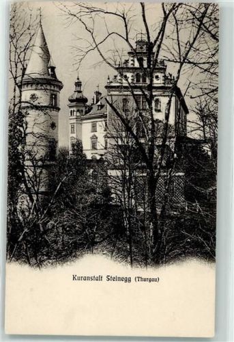 8536 Steinegg TG Hüttwilen 1911 - Kuranstalt