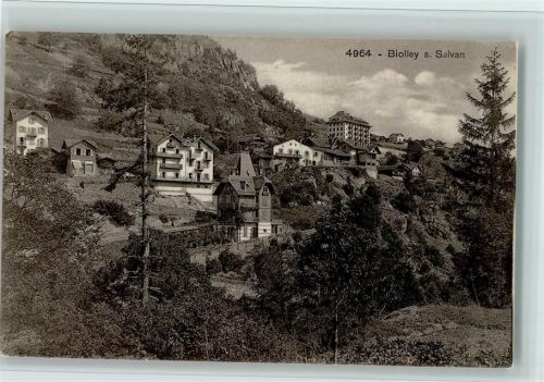 1922 Salvan - Bergansicht,Verlag Burgy Nr. 4964