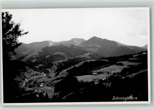 Schnebelhorn 1956 - Restaurant Tierhag Alp Schnebelhorn