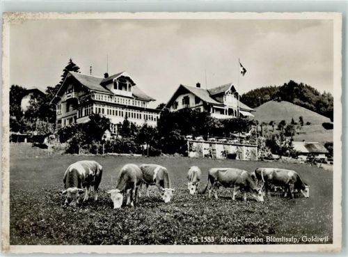 3624 Goldiwil (Thun) - Hotel Pension Blümlisalp Kühe