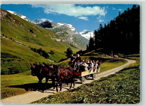 7514 Sils/Segl Maria Foto AK Verlag u. Fotograf Hans Steiner Fextal Pferdekutsche Nr. 126