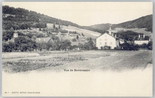 2056 Dombresson