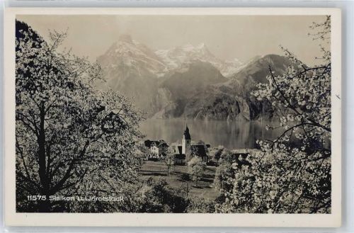 6452 Sisikon - Urirotstock