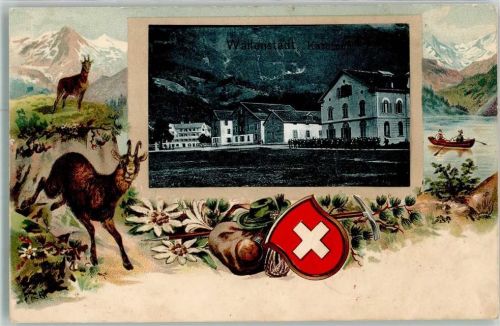 8880 Walenstadt Prägedruck Steinbock Wappen Kaserne Ort lt. Stempel