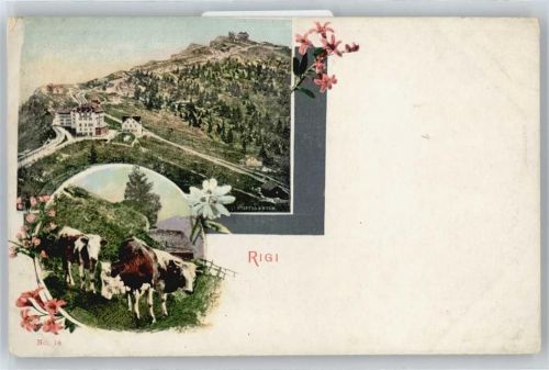 6356 Rigi Kaltbad Künstlerkarte