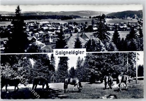 2350 Saignelégier - Pferde Pferdekoppel