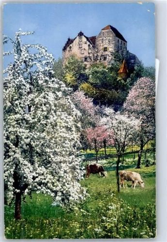 5103 Wildegg - Schloss Wildegg