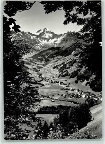 8767 Elm - Hausstock