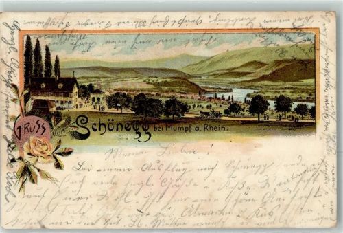 4322 Mumpf 1899 Lithographie Schönegg Rose Rhein Passepartout