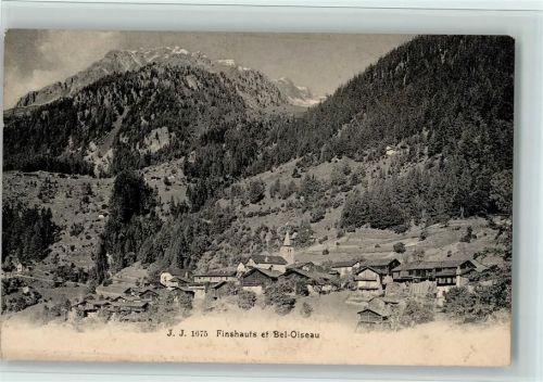 1925 Finhaut - Bel Oiseau