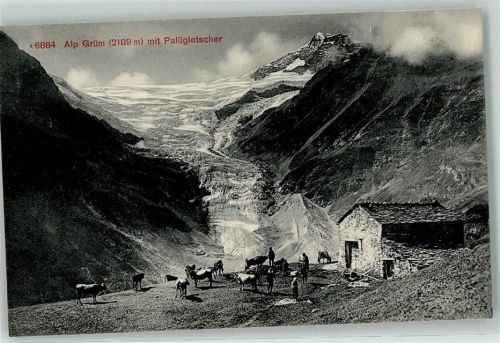 7710 Alp Grüm - Palügletscher
