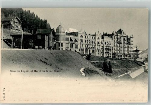 1854 Leysin 1903 Foto AK Bahnhof Hotel du Mont Blanc