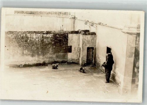 3000 Bern Berne Foto AK Bärengraben