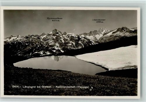 3999 Oberwald - Längisgrat bei Gletsch Alpenlandschaft Paysage Finsteraarhorn Schreckhörner