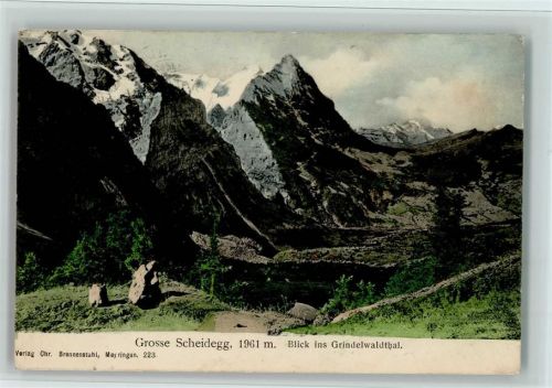 Grosse Scheidegg - Blick ins Grindelwaldthal