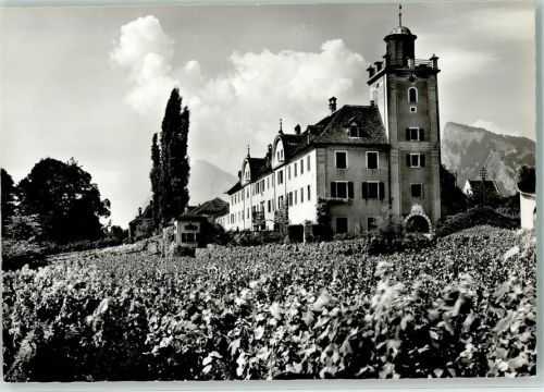 7304 Maienfeld - Schloss Salenegg