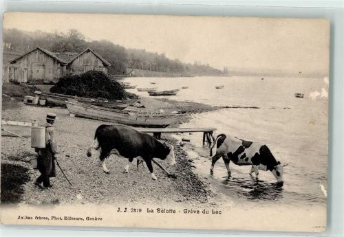 1222 Vésenaz St-Maurice Gebrauchsspuren Greve du Lac La Belotte
