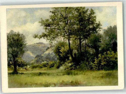 Uerikon Wiese mit Bäumen Lacob Nüesch Ort lt. Stempel Pro Juventute Schweiz Künstlerkarte