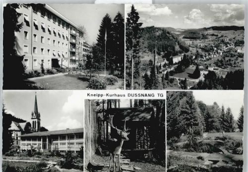 8374 Dussnang Schurten - Kneipp-Kurhaus, Kirche, Hirsch