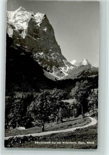 3860 Meiringen - Schwarzwald-Alp mit Wetterhorn Eiger Mönch