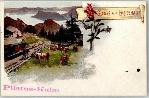 6010 Pilatus Kulm Gebrauchsspuren Gruss von der Emsigenalp Kuhherde
