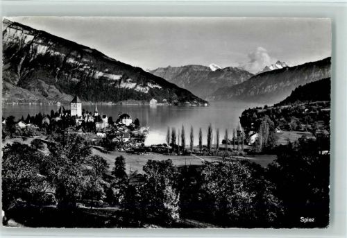 3700 Spiez - Blick nach Spiez