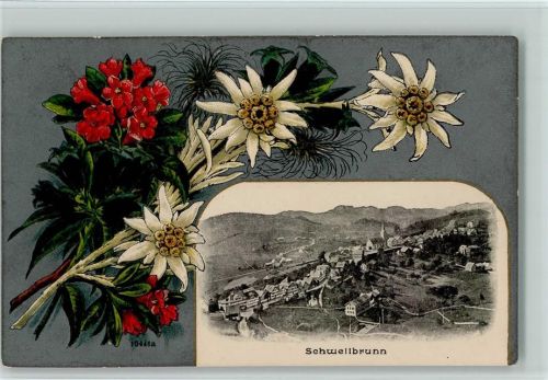 9103 Schwellbrunn Lithographie / Prägedruck Passepartout Edelweiss