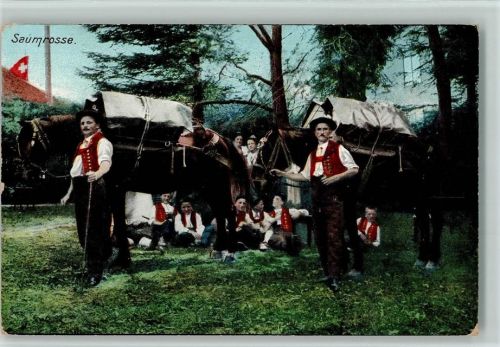 1906 - Verlag Künzli-Tobler - Saumrosse AK