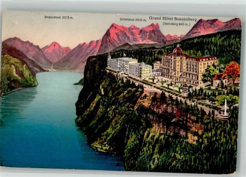 6377 Seelisberg 1913 Foto AK Grand Hotel Sonnenberg