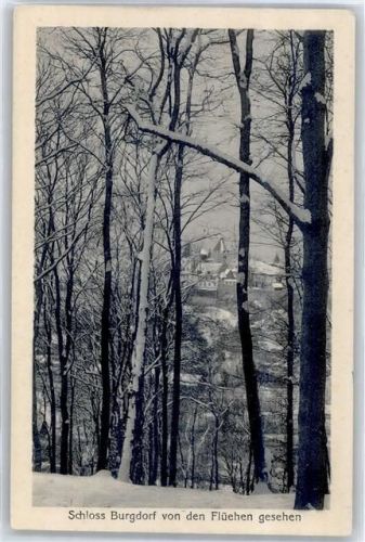 3400 Burgdorf Berthoud - Schloß Burgdorf von den Flühen gesehen