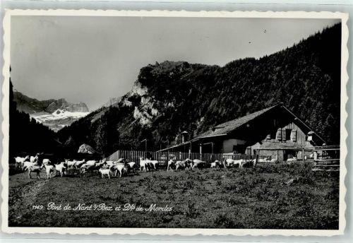1880 Bex - La Pont de Nant Ziegenherde