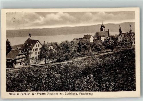 8835 Feusisberg 1911 Foto AK Hotel Pension zur Frohen Ausschit Zürichsee